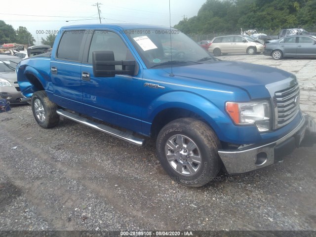 FORD F-150 2010 1ftfw1ev0afc90001