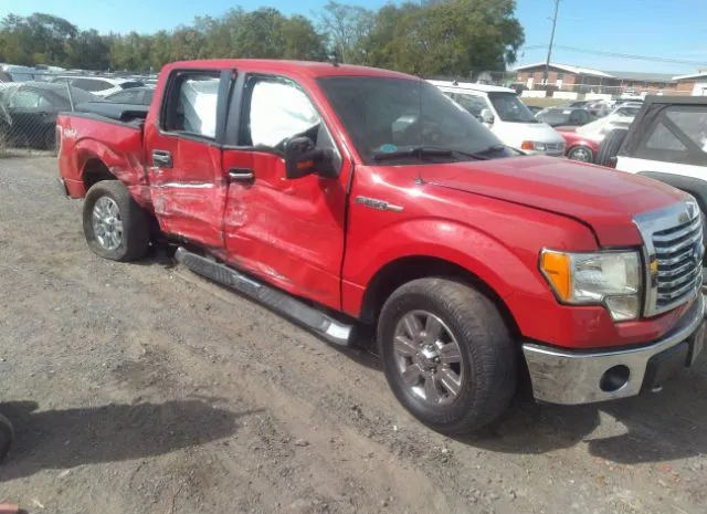 FORD F-150 2010 1ftfw1ev0afd08982