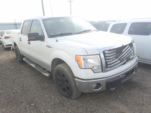 FORD F150 SUPER 2010 1ftfw1ev0afd31825