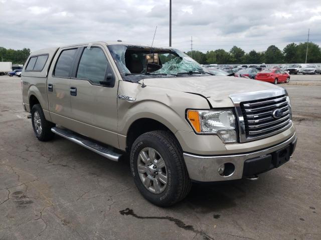 FORD F150 SUPER 2010 1ftfw1ev0afd54229