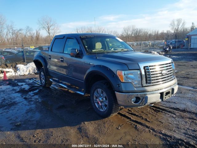 FORD F-150 2010 1ftfw1ev1afa67529