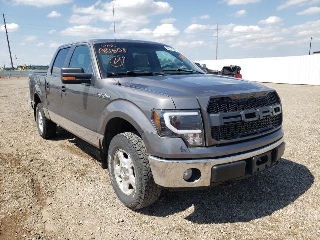 FORD F150 SUPER 2010 1ftfw1ev1afa81608