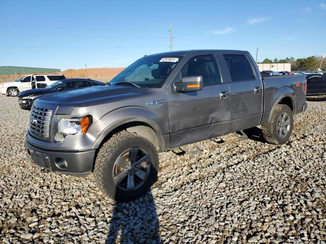 FORD F-150 2010 1ftfw1ev1afb35246