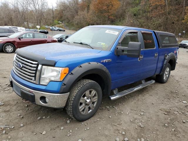 FORD F-150 2010 1ftfw1ev1afb78954