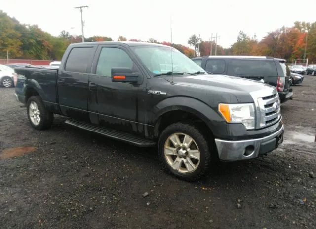 FORD F-150 2010 1ftfw1ev1afc31331