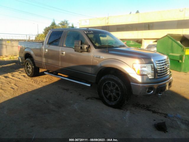 FORD F-150 2010 1ftfw1ev1afc41065