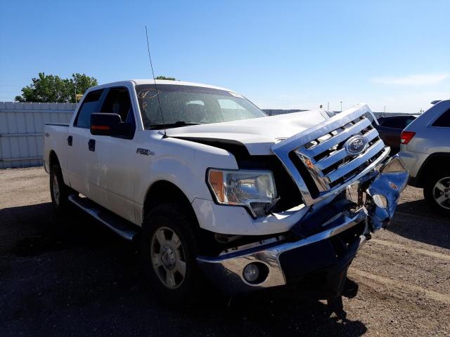 FORD F150 SUPER 2010 1ftfw1ev1afd12314