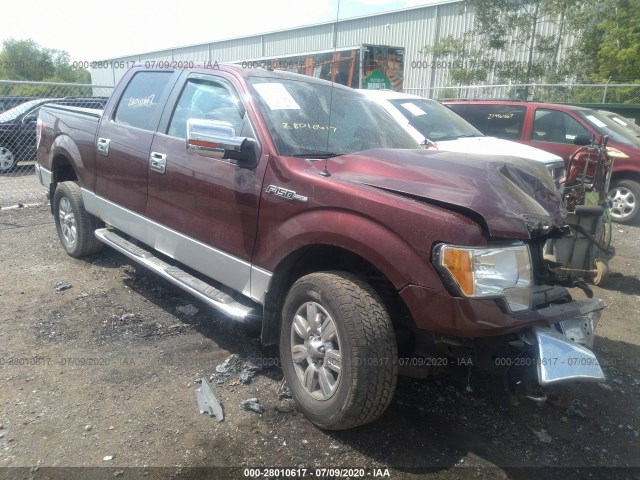 FORD F-150 2010 1ftfw1ev1afd35317