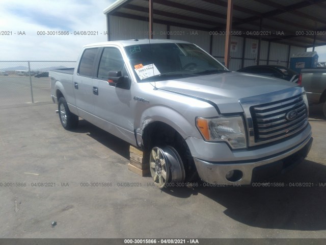 FORD F-150 2010 1ftfw1ev1afd67362