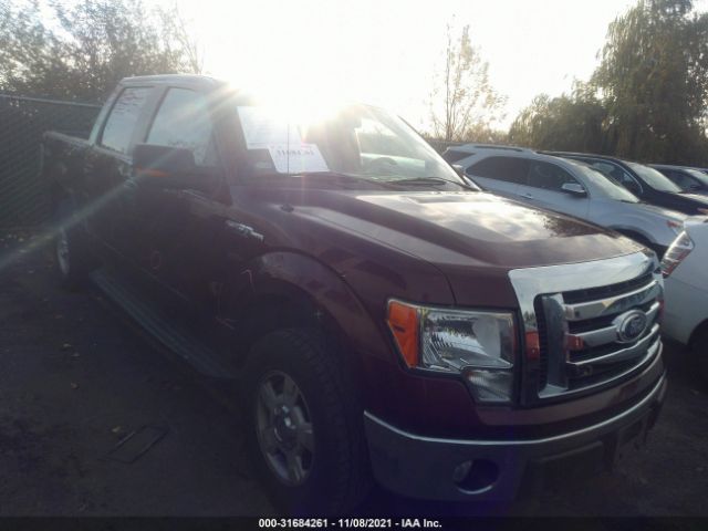 FORD F-150 2010 1ftfw1ev1ake19080