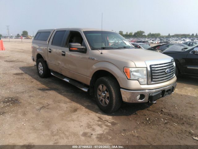 FORD F-150 2010 1ftfw1ev2afb53657