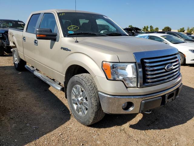 FORD F150 SUPER 2010 1ftfw1ev2afb61953