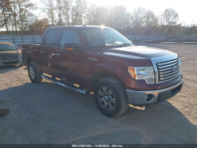 FORD F-150 2010 1ftfw1ev2afb84360