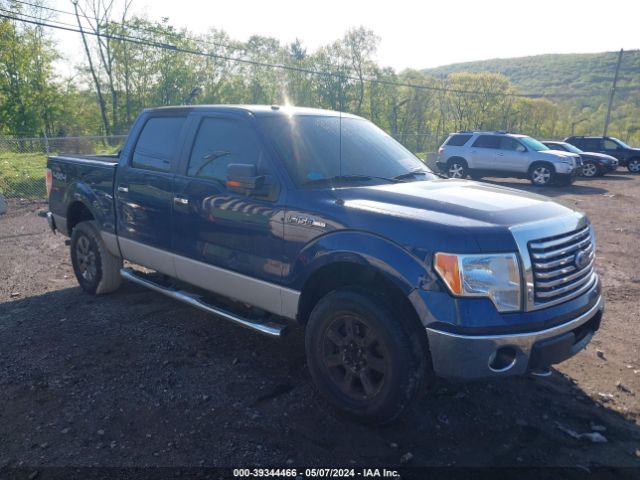 FORD F-150 2010 1ftfw1ev2afc20693