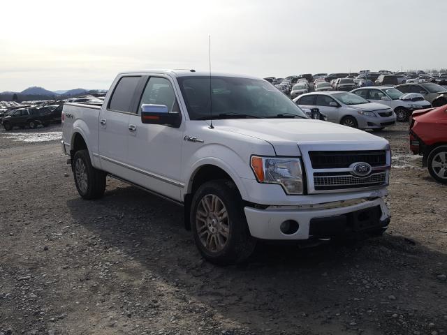 FORD F-150 2010 1ftfw1ev2afc42239