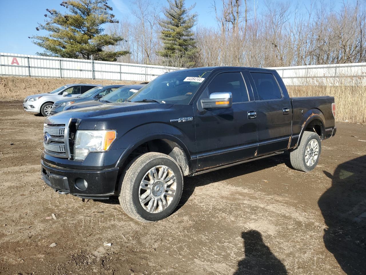 FORD F-150 2010 1ftfw1ev2afc61678