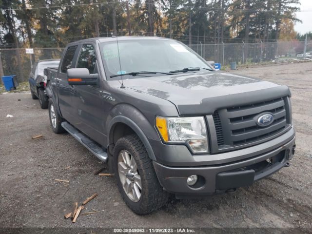 FORD F-150 2010 1ftfw1ev2afd21376