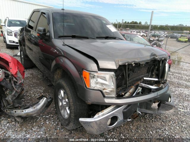 FORD F-150 2010 1ftfw1ev2afd61859