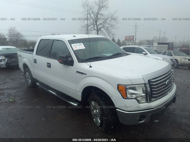 FORD F-150 2010 1ftfw1ev2afd64986