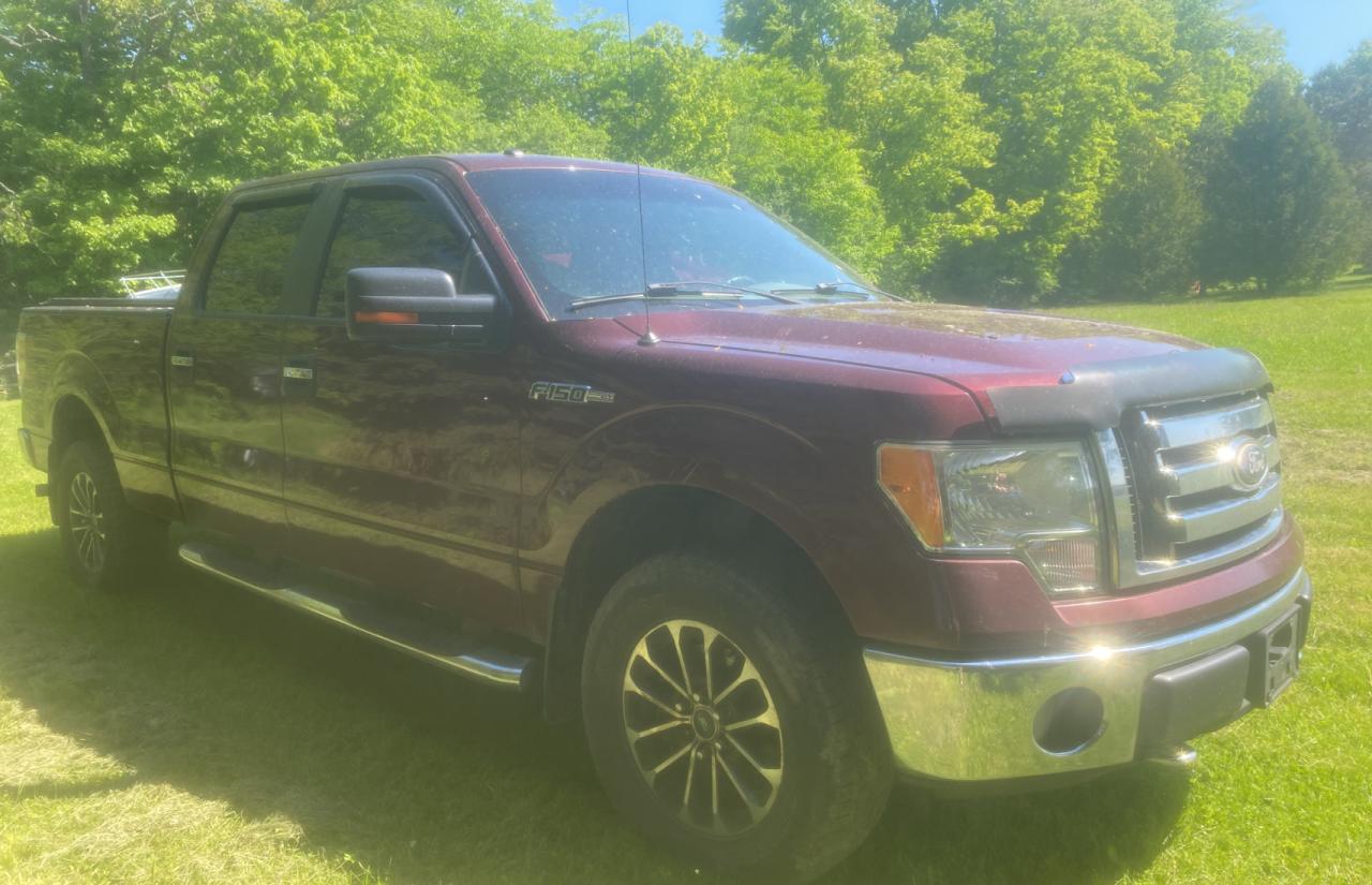 FORD F-150 2010 1ftfw1ev2afd81786