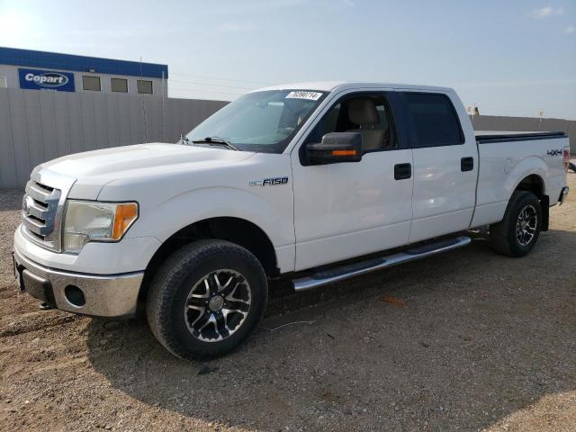 FORD F150 SUPER 2010 1ftfw1ev2afd87166