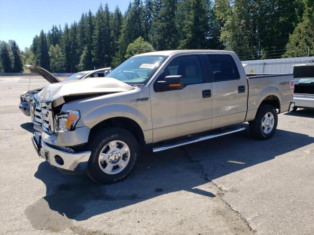 FORD F150 SUPER 2010 1ftfw1ev2afd94182