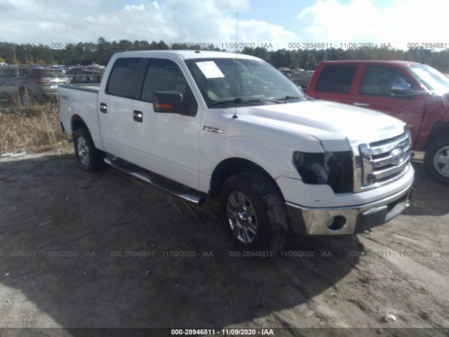 FORD F-150 2010 1ftfw1ev3afb26564