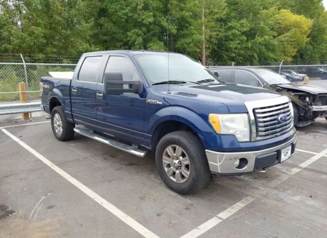 FORD F-150 2010 1ftfw1ev3afb28265