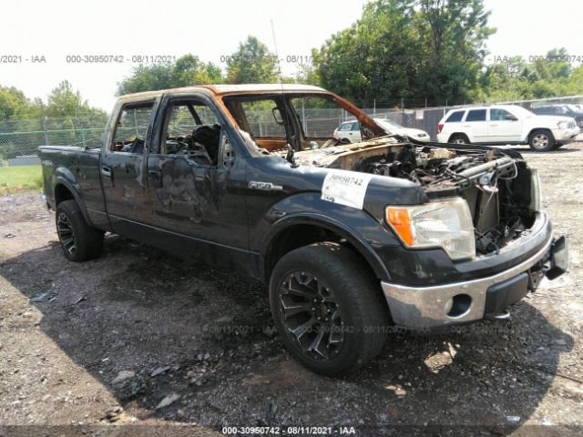 FORD F-150 2010 1ftfw1ev3afb34616