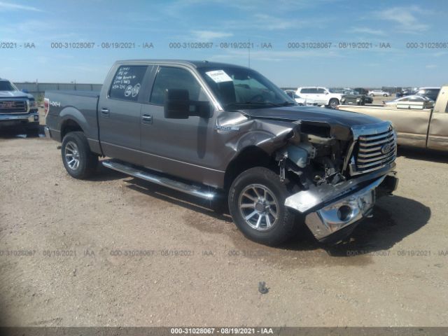 FORD F-150 2010 1ftfw1ev3afb37015