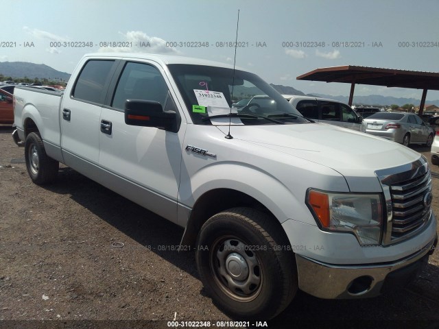 FORD F-150 2010 1ftfw1ev3afb58799