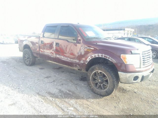 FORD F-150 2010 1ftfw1ev3afb64893