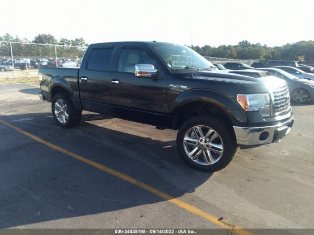 FORD F-150 2010 1ftfw1ev3afb82133