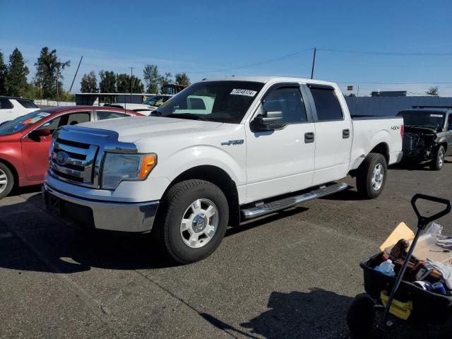 FORD F150 SUPER 2010 1ftfw1ev3afc07709