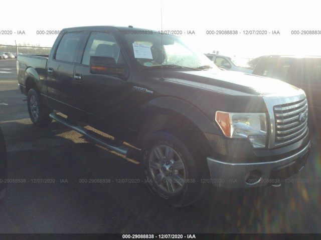 FORD F-150 2010 1ftfw1ev3afc10030