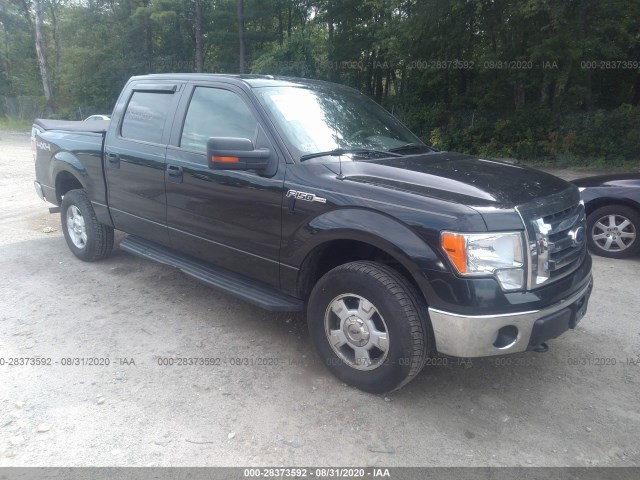 FORD F-150 2010 1ftfw1ev3afc20475