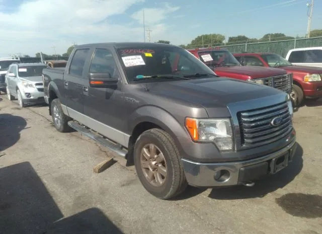 FORD F-150 2010 1ftfw1ev3afc46946