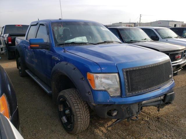 FORD F150 SUPER 2010 1ftfw1ev3afc79395