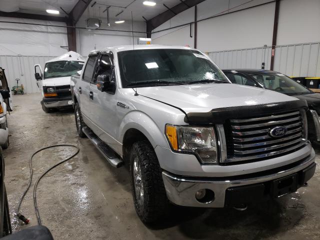 FORD F150 2010 1ftfw1ev3afd13237