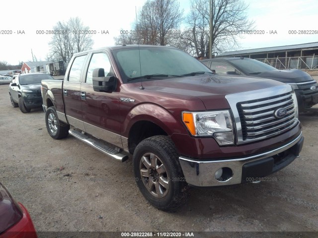 FORD F-150 2010 1ftfw1ev3afd27932