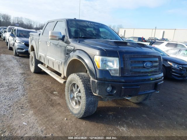 FORD F-150 2010 1ftfw1ev3afd34282