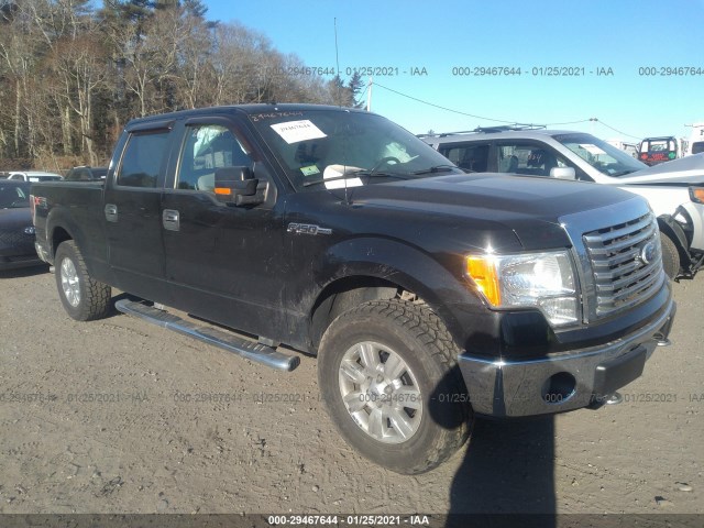 FORD F-150 2010 1ftfw1ev3afd35965