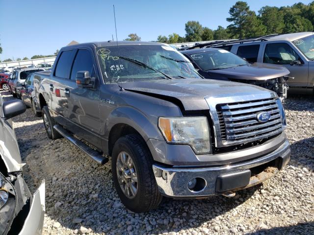 FORD F150 SUPER 2010 1ftfw1ev3afd62339