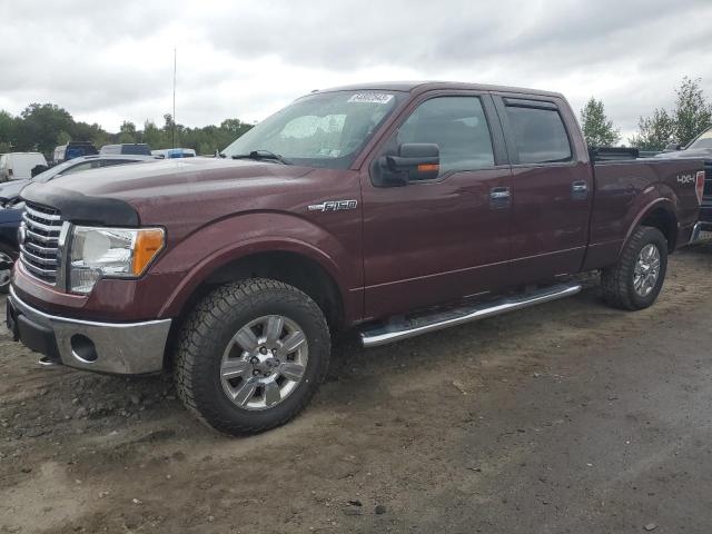 FORD F-150 2010 1ftfw1ev3afd70716