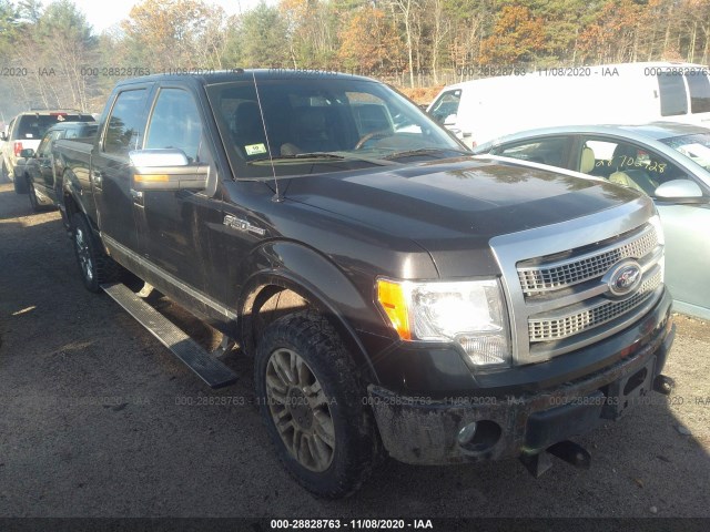 FORD F-150 2010 1ftfw1ev3afd94451