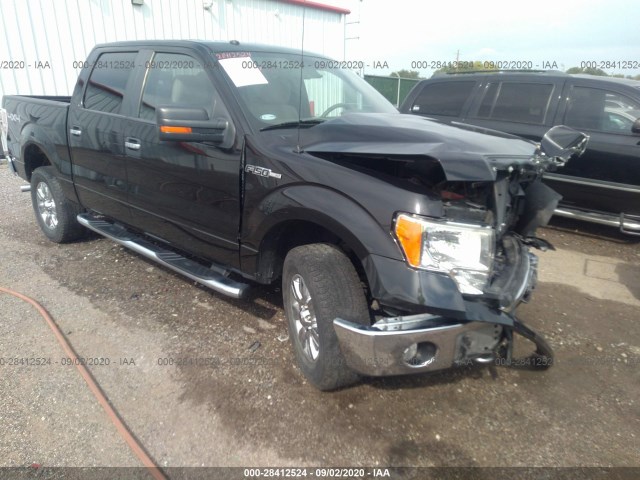 FORD F-150 2010 1ftfw1ev3akb33974