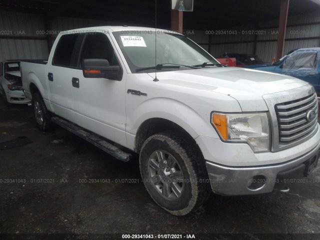 FORD F-150 2010 1ftfw1ev3ake71116