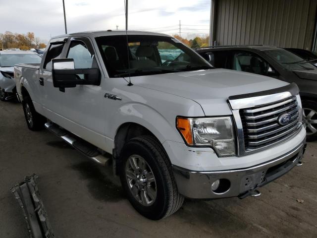 FORD F150 SUPER 2010 1ftfw1ev4afa33259