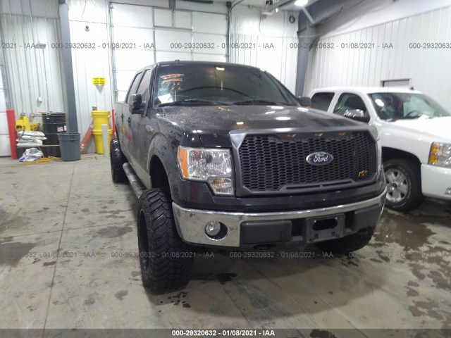 FORD F-150 2010 1ftfw1ev4afa52183