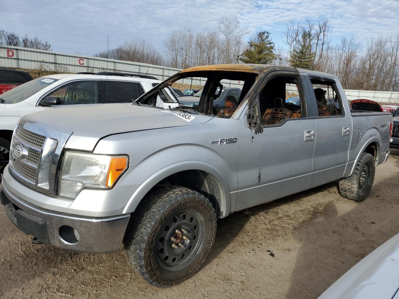 FORD F-150 2010 1ftfw1ev4afa59036